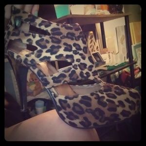 Cheetah hills